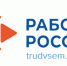 Помощь гражданам в рамках федерального проекта «Активные меры содействия занятости». - Администрация Кировского района