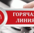 «Горячая линия» по вопросам исполнения законодательства о здравоохранении. - Администрация Кировского района